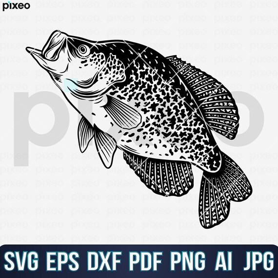 Crappie Fishing SVG: Fish Clipart Vector Cut File (digital