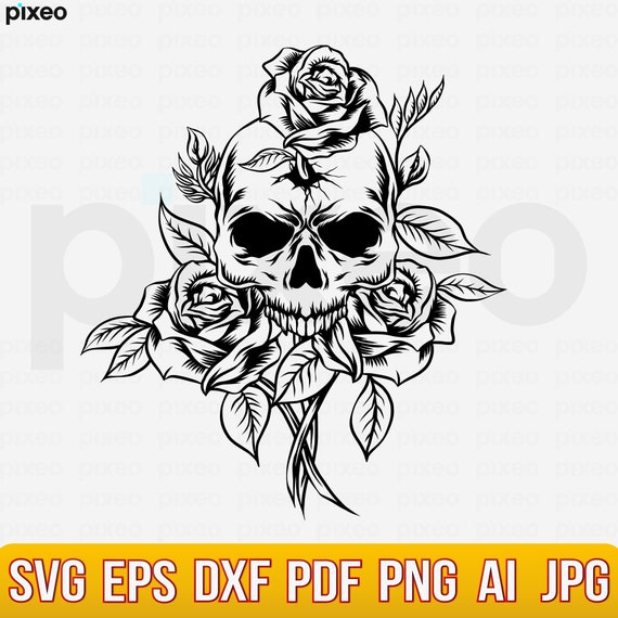 V系★R指定★スロウデイズ★SKULL ROSE★特典★DVD【13】 Anime DVD Rosario + Vampire Complete Series Season 1+2 (1-26 End