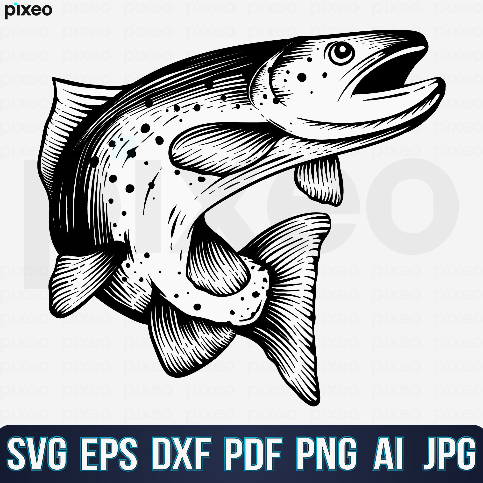Trout Fishing Svg Trout Fish Svg Trout Svg Trout Fish - Etsy