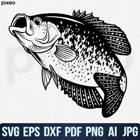 Crappie Fishing Svg, Fishing Svg, Crappie Fish Svg, Crappie Clipart,  Crappie Vector, Crappie Cricut, Crappie Cut file, Fish Svg, Fish Svg