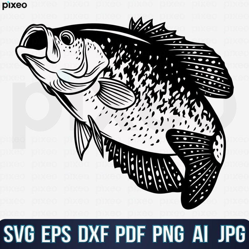 May include: Black and white illustration of a crappie fish with a spotted pattern. The fish is facing to the left and has its mouth open.