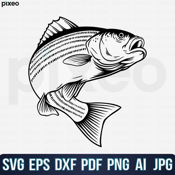 Striped Bass Fishing Svg, Fishing Svg, Striped Bass Fish Svg, Bass Clipart,  Bass Vector, Bass Cricut, Bass Cut File, Fish Svg, Bass Shirt 