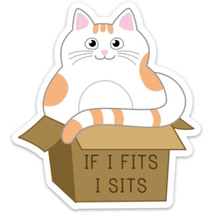 Stickeroonie Wenn ich passt, sitzt ich süße Katze in einer Box Vinyl Aufkleber Aufkleber - 4 &quot;x 4&quot; für Laptops, Wasserflaschen etc.