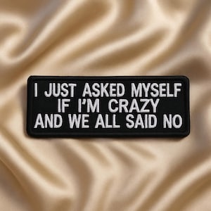 Jag frågade mig just om jag är galen och vi sa alla nej lapp/Stryklapp/Rolig humorgåva/Broderad sy-på-applikation för väst/jacka kläder