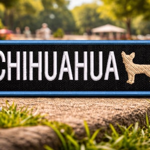 Patch chihuahuahond/opstrijkpatch/speelgoedpatch/familiehuisdier/cadeau Sassy-hond/geborduurde opstikapplicatie voor kledingvest/jas hondentuig