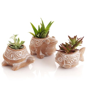 Pond Critter Terracotta Planters with Drainage Hole, Set of 3, Indoor, Outdoor, Unique Design