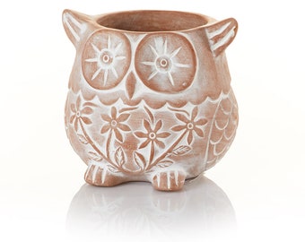 Who's Who Owl Terracotta Planter with Drainage Hole, Indoor, Outdoor, Unique Design, Popular Housewarming Gift