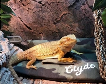 Lizard, Reptile padded bed with pillow, Camouflage design, Personalised option available