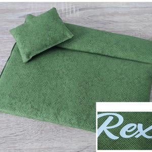 May include: A green textured fabric set, comprising a rectangular piece and a small square pillow. The fabric has a woven appearance. The word "Rex" is visible in light blue script on a small square in the bottom right corner.