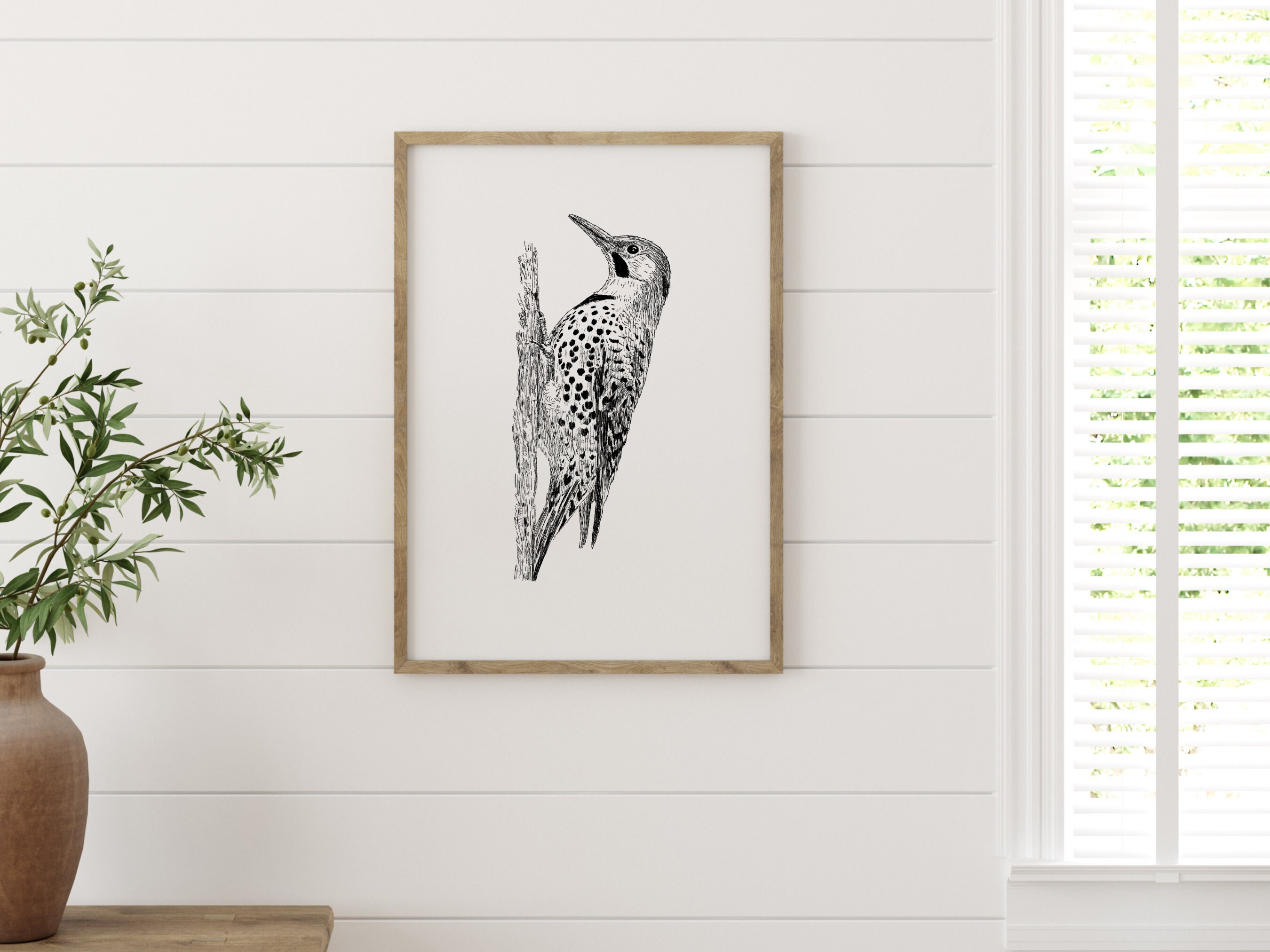 Vintage Style Northern Flicker Drawing Woodpecker Decor Bird Lover Gift Woodpecker Bird Wall Art Ornithologist Gift for HIm