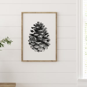 Vintage Style Pine Cone Illustration | Pine Cone Scientific Illustration Nature Art Gift for Nature Lover Pine Cone Art Minimalist Nature