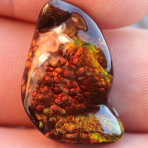 17.77ct Slaughter Mountain Fire Agate