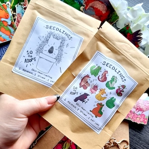 Adopt a Familiar -mysterybox - acrylic Keyrings- plants- cottagecore- Sophiralou
