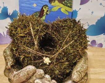 Bola de musgo Kokedama en forma de corazón hecha a mano con recorte de planta