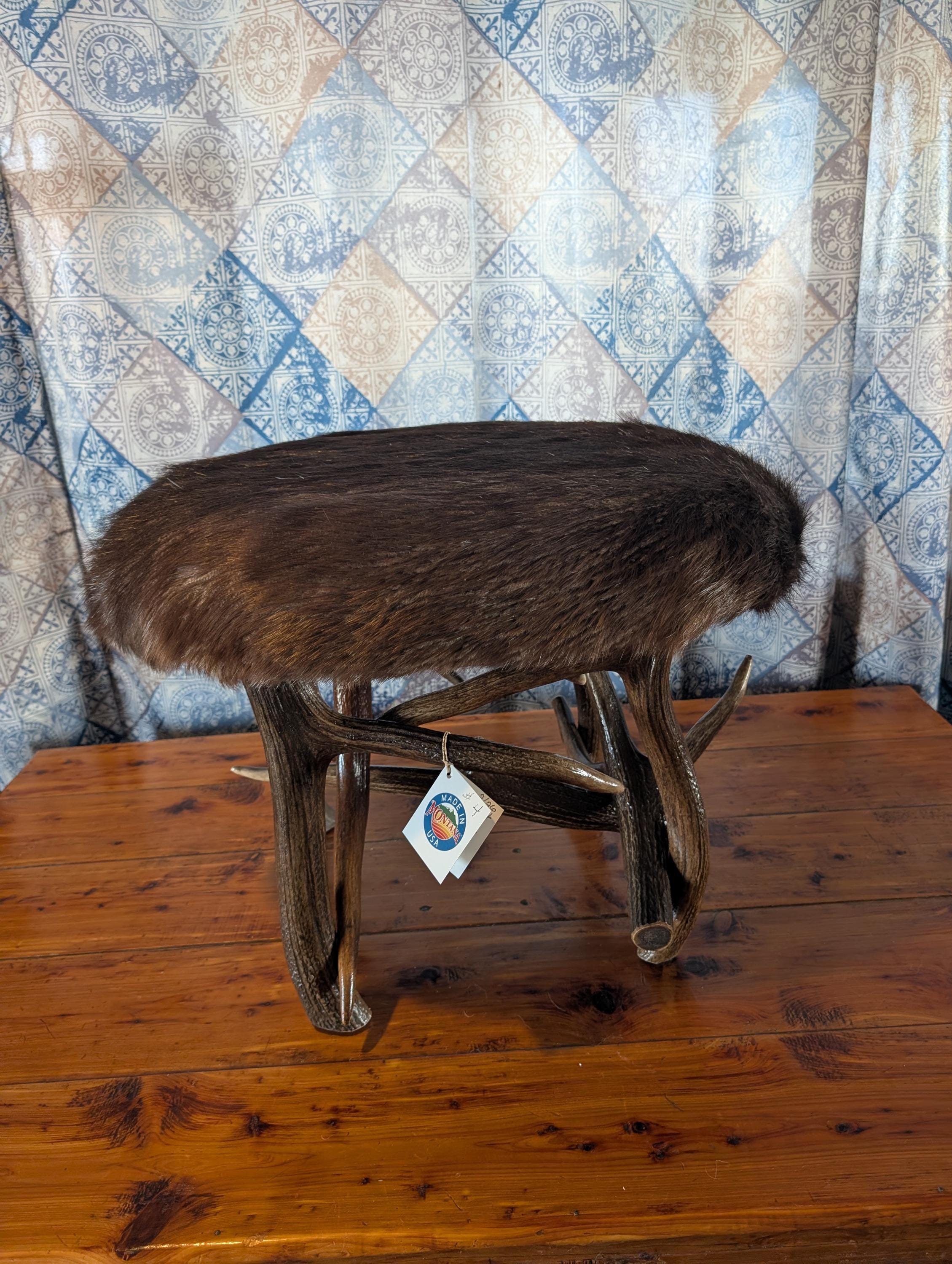 剥製＆珍品 - Etsy 日本