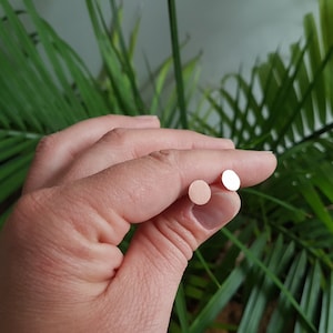 May include: Two small round earrings, one is silver and the other is rose gold.