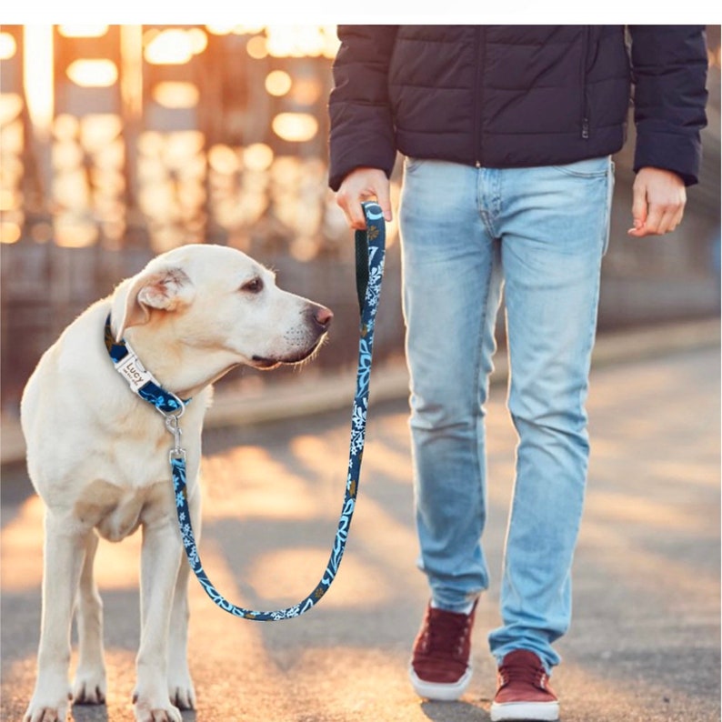 halsband hund personalisiert