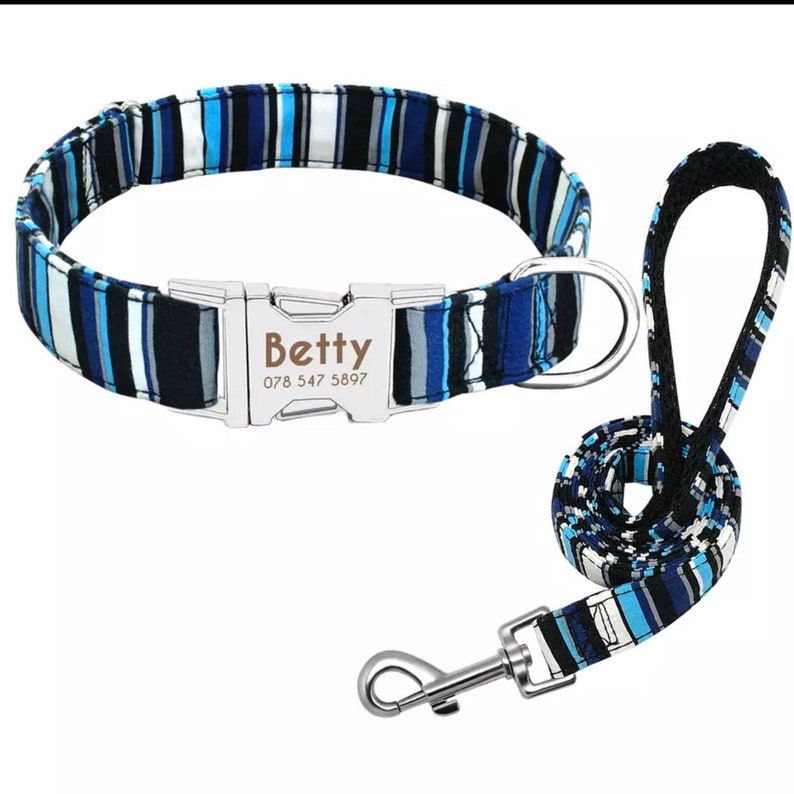 Halsband Hund mit Name Leine Set Hundehalsband personalisiert Etsy