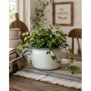 May include: A white enamel basin with a blue rim and handle, containing a lush green ivy plant with variegated leaves. The basin features a distressed finish with visible blue paint chips along the handle and rim, creating a weathered appearance.
