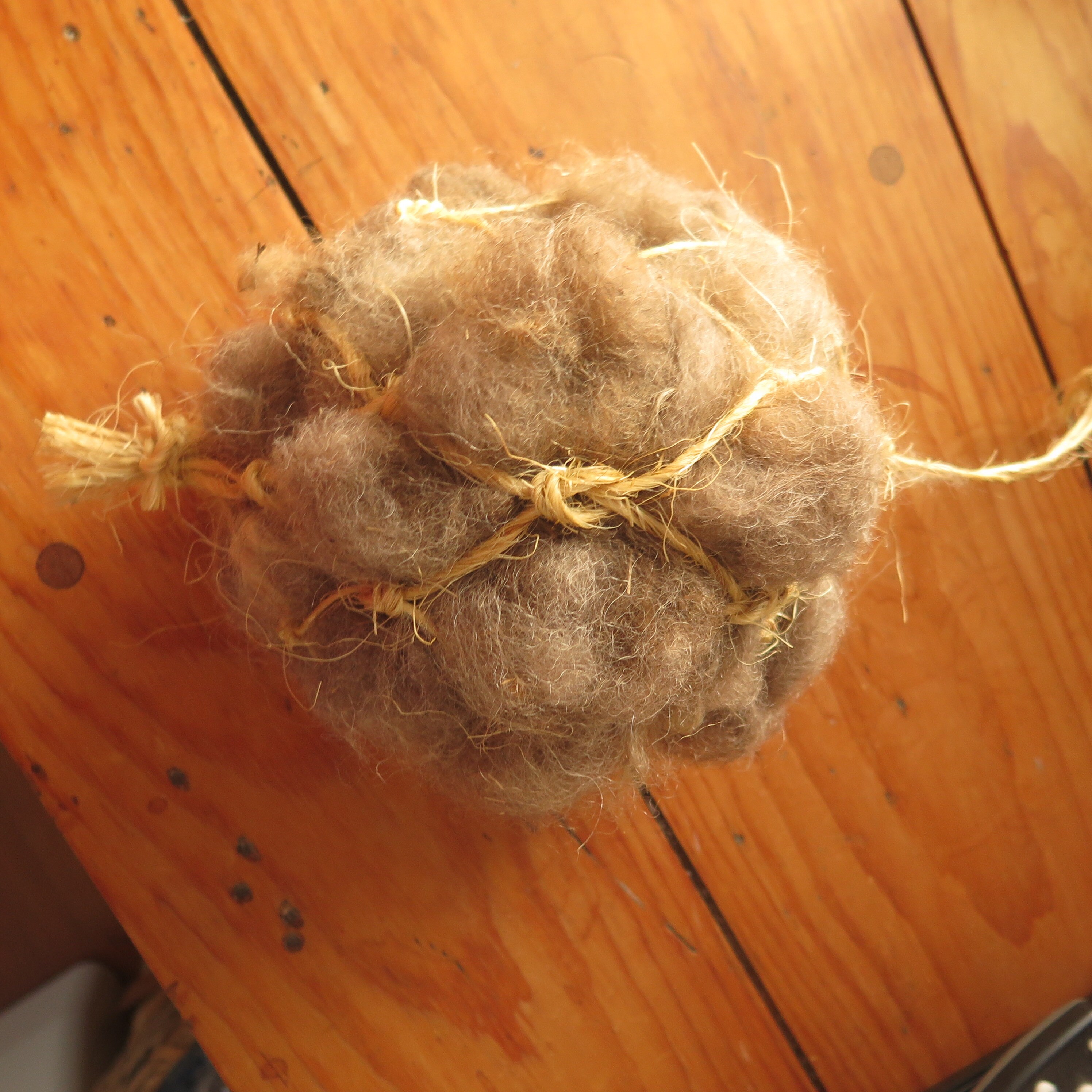 All Natural Nesting Wool Birds Nest Supply Ball Etsy