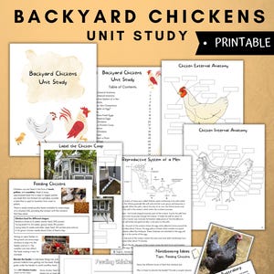 May include: A printable educational resource for learning about backyard chickens. The colorful worksheets include information about chicken anatomy, feeding, and different breeds like the Australorp and Buff Orpington.