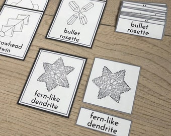 Snowflake Types Flash Cards: Three Part Cards (PDF Printable)