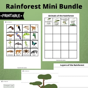 Rainforest Habitat Mini Bundle, Animals of the Rainforest, Layers of the Rainforest, Biome, Educational Printable Activity, Homeschool