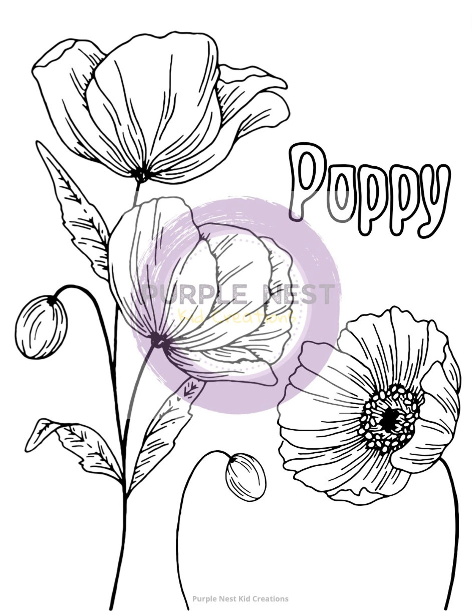 Poppy Unit Remembrance Day Unit Study: Poppy Anatomy, Poem, History (digital ...