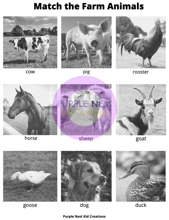 Farm Animals Matching Game: Preschool Printable Activity (PDF) - Etsy
