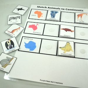 Continents &amp; Oceans of the World Mini Bundle, Matching Game, Animals ...
