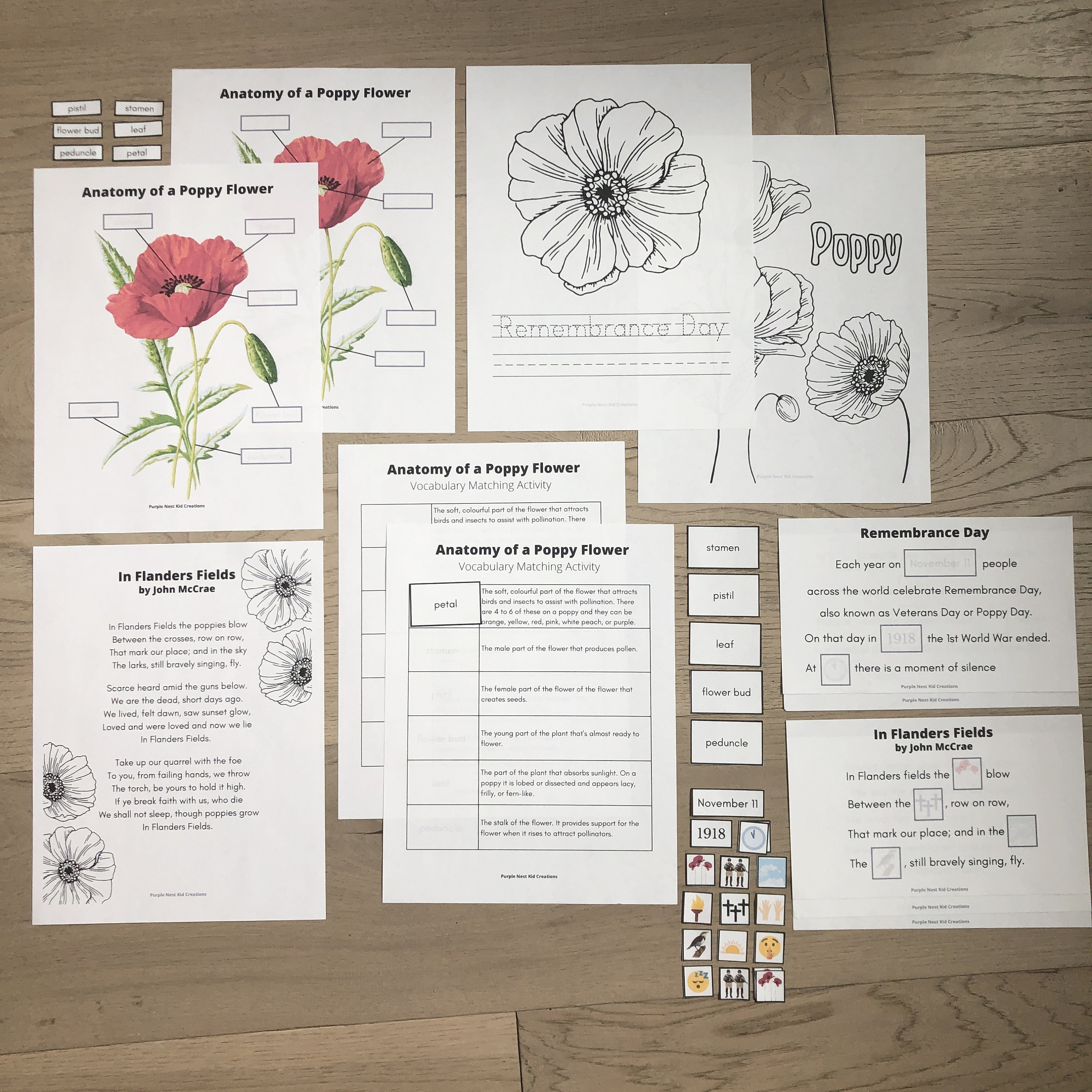 Poppy Unit Remembrance Day Unit Study: Poppy Anatomy, Poem, History (digital ...