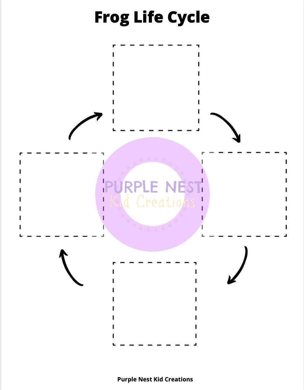 Frog Life Cycle Worksheet and Flash Cards Frog Life Cycle - Etsy