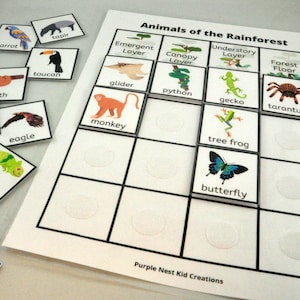 Animals of the Rainforest Worksheet, Rainforest Habitat, Geography, Environment, Biology, Educational Printable Activity, Homeschool