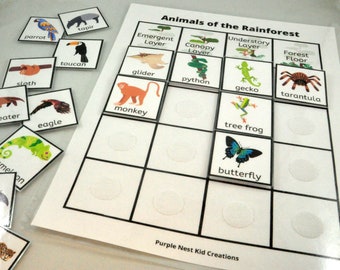 Animals of the Rainforest Worksheet, Rainforest Habitat, Geography, Environment, Biology, Educational Printable Activity, Homeschool
