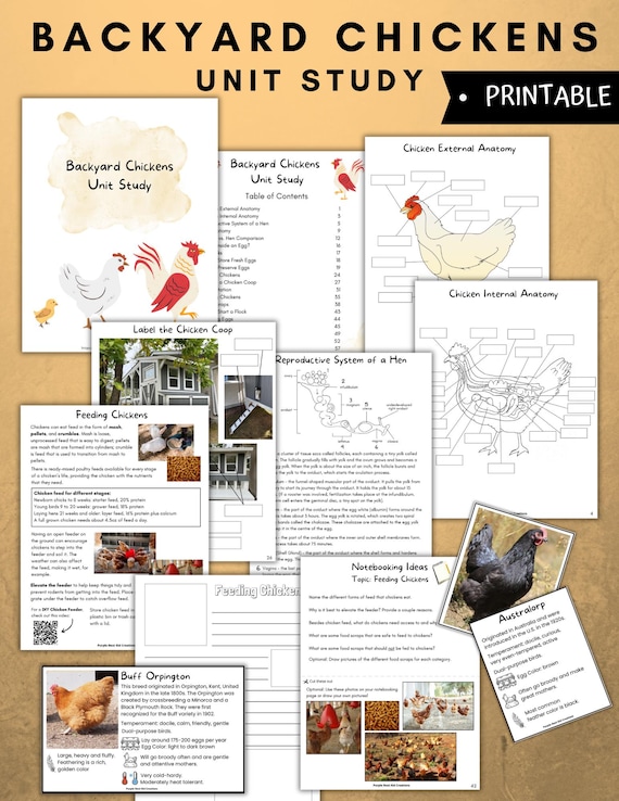 Backyard Chickens Unit Study: Homeschool Printable (PDF)