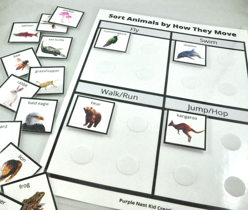 May include: A white board with the title "Sort Animals by How They Move". The board is divided into four sections: Fly, Swim, Walk/Run, and Jump/Hop. Each section has a circle for each animal card. There are animal cards with pictures of a hummingbird, dolphin, bear, kangaroo, salmon, jellyfish, sea turtle, bee, rabbit, grasshopper, bald eagle, lion, and frog.
