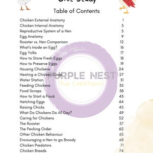 May include: A table of contents for a backyard chicken unit study. The table lists topics such as chicken anatomy, egg care, housing, feeding, and more. The page features a purple circle with the text "Purple Nest Kid Creations" in white.