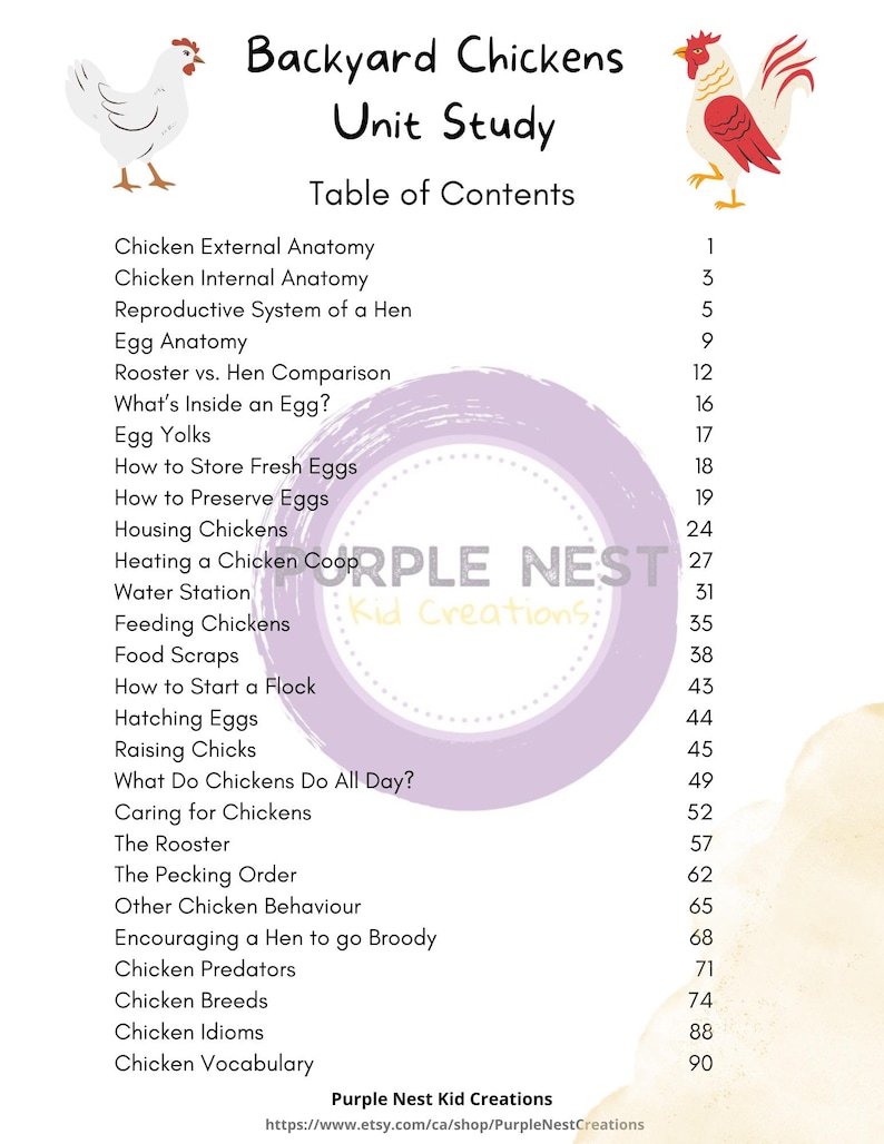 May include: A table of contents for a backyard chicken unit study. The table lists topics such as chicken anatomy, egg care, housing, feeding, and more. The page features a purple circle with the text "Purple Nest Kid Creations" in white.