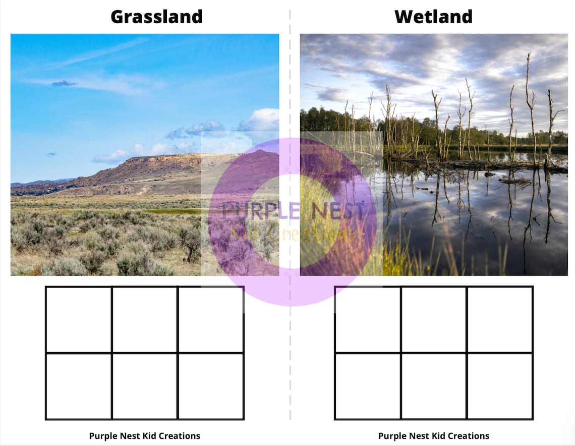 Animals Habitat Sorting Worksheets Habitat Sorting Mats Etsy