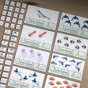 Op de afbeelding: Een set printbare educatieve flashcards met zeedieren en de zin "Ik kan zien" met lege ruimtes om te tellen. De kaarten bevatten afbeeldingen van kwallen, pijlstaartroggen, zeepaardjes, clownvissen, haaien, zeeschildpadden, narwalen, orka's en engelhaaien.