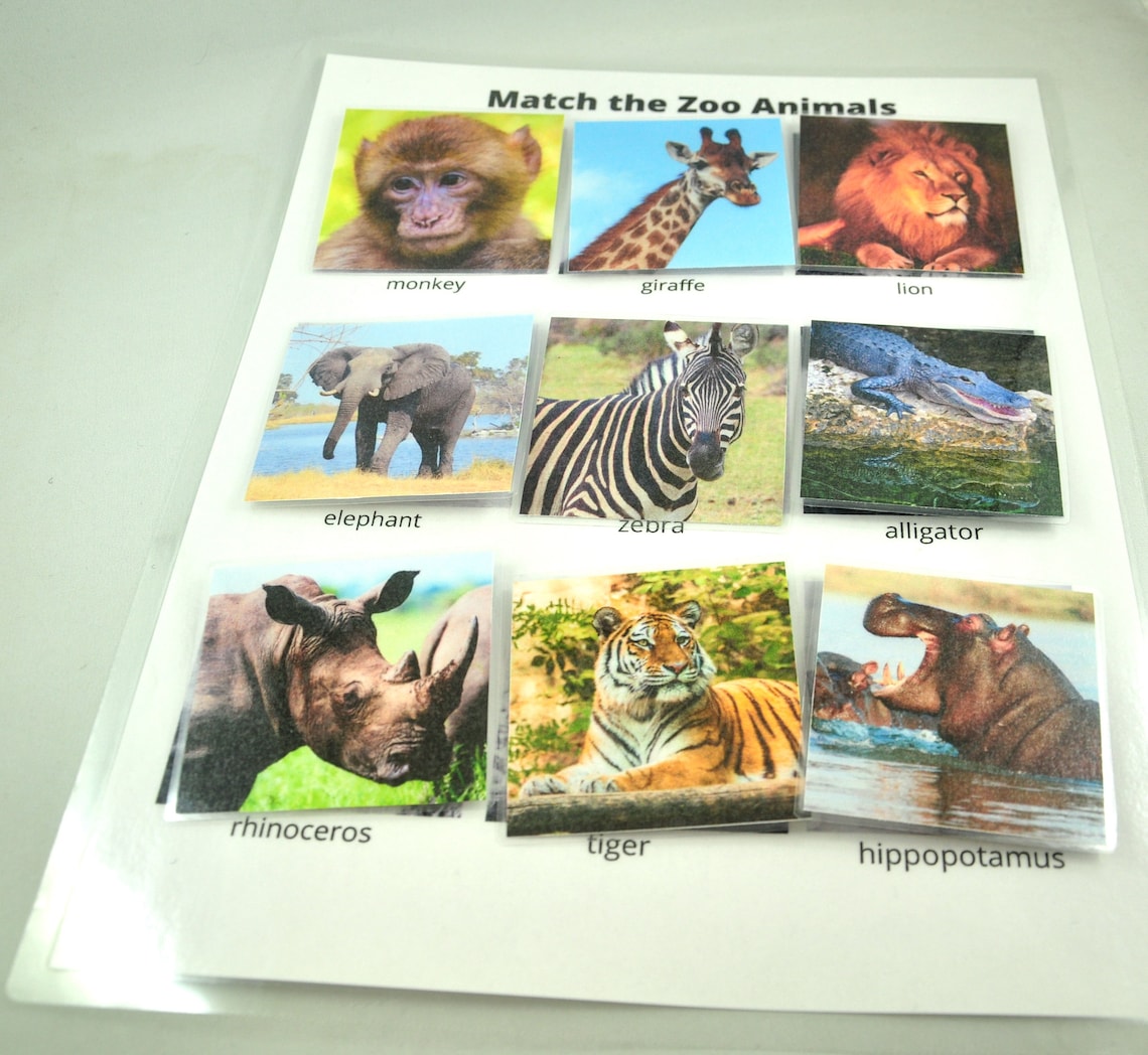 match the zoo animals worksheet animal matching game etsy