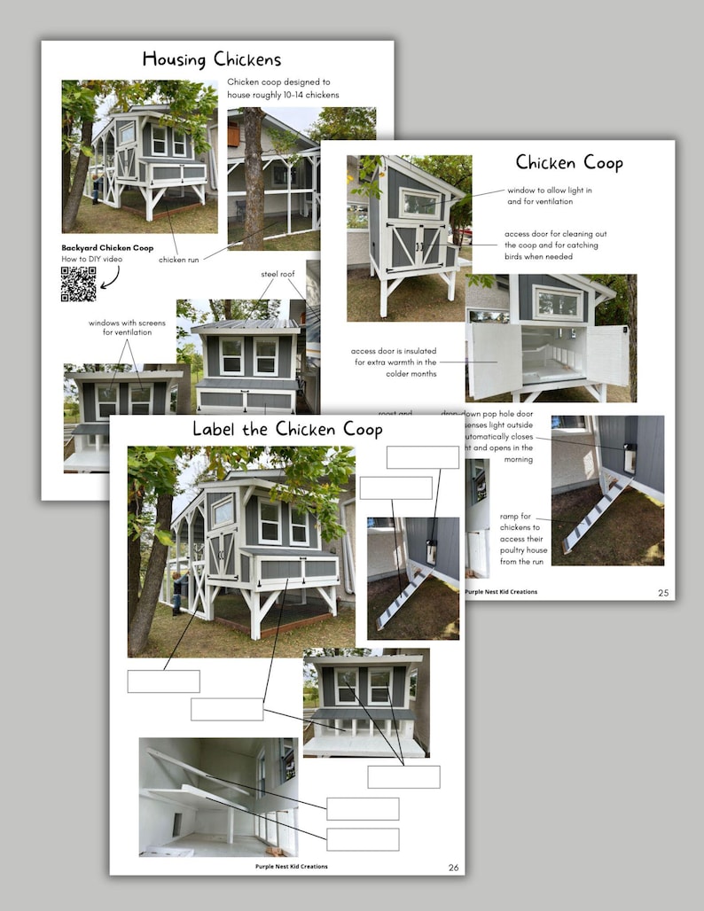 May include: A printable worksheet for kids to label the parts of a chicken coop. The worksheet includes a diagram of a coop with labels for the roof, chicken run, windows, access door, pop hole door, and ramp. The worksheet also includes a picture of a chicken coop with the parts labeled.