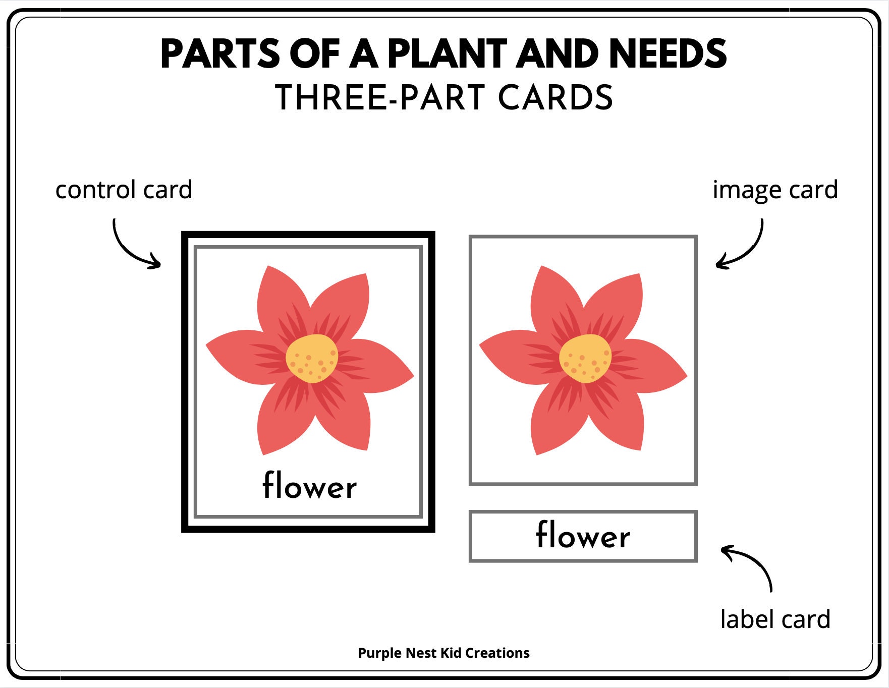 Plant Parts and Needs Flash Cards Flower Diagram Montessori Etsy UK