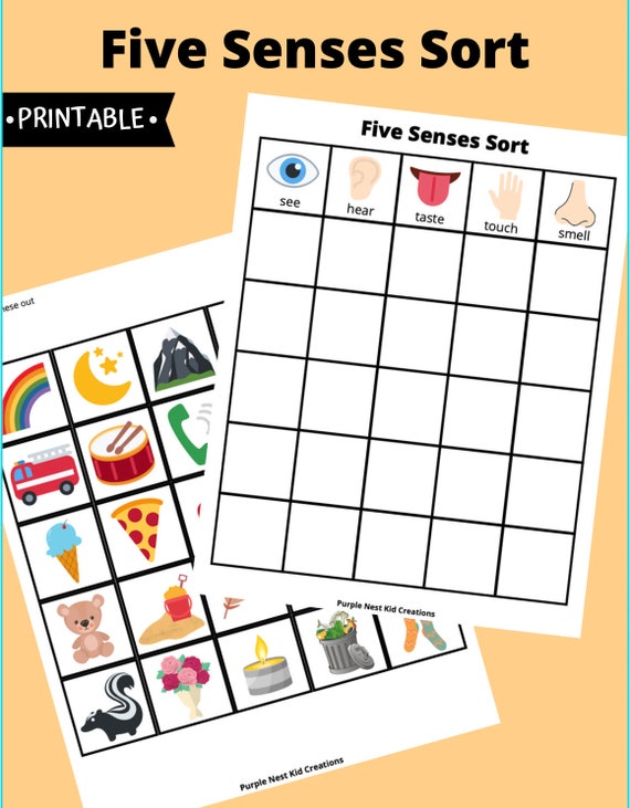 Five Senses Sort Worksheet Sorting Game All About Me Etsy
