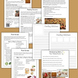 May include: A printable worksheet with information about feeding chickens. The worksheet includes a list of safe and unsafe foods to feed chickens, as well as tips on how to provide a balanced diet. The worksheet also includes a section on notebooking ideas, which encourages students to learn more about chickens.