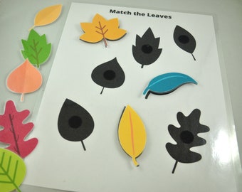 May include: A learning game for kids featuring a white card with the text "Match the Leaves" and various colorful leaves with black outlines. The leaves are in different shapes and sizes, including oak, maple, and willow.