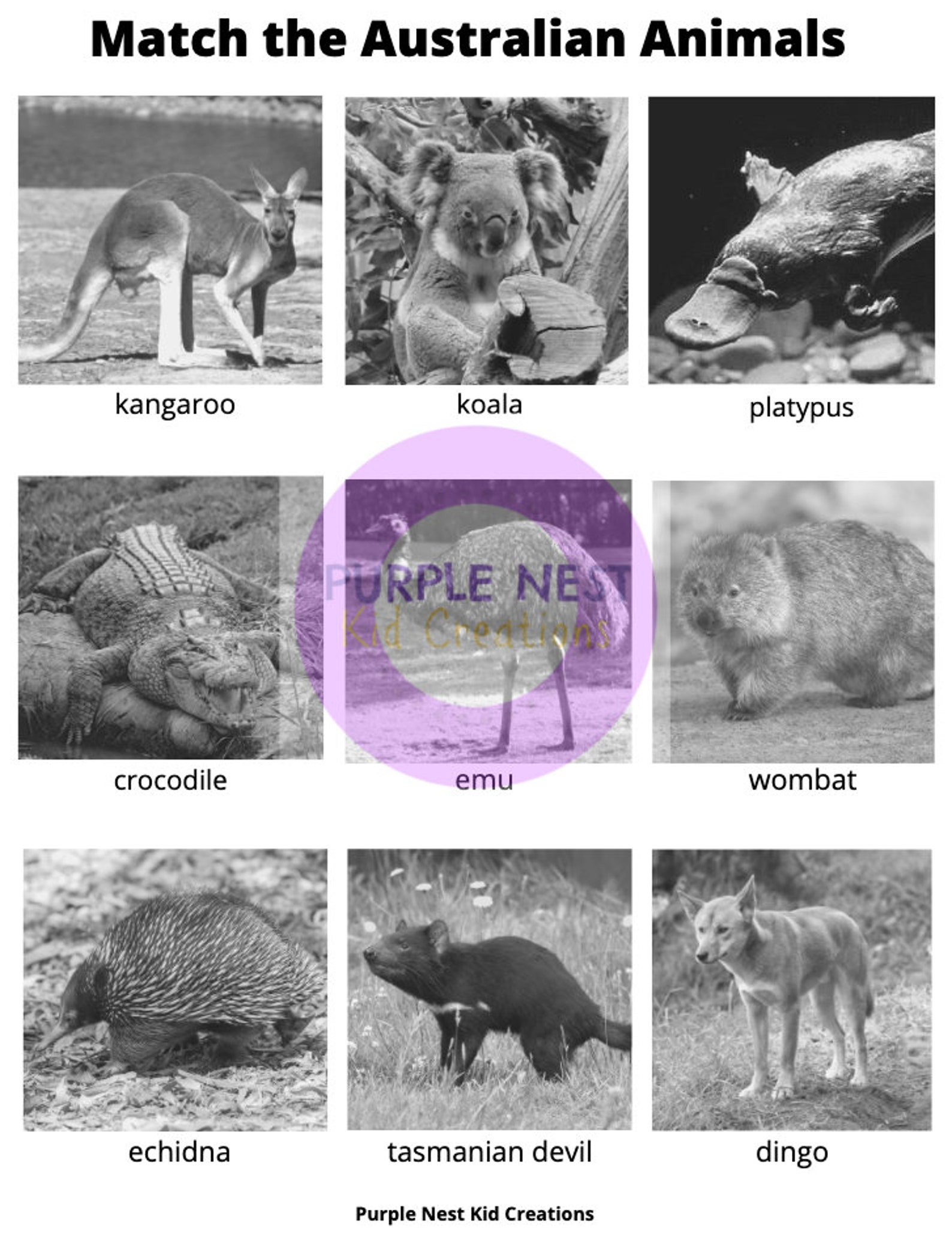 Australian Animals Matching Worksheet: Educational Activity (PDF) - Etsy