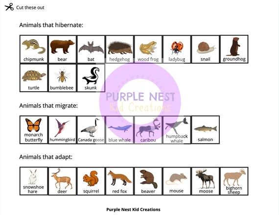 animals-in-winter-sorting-worksheet-hibernate-migrate-adapt-etsy-finland