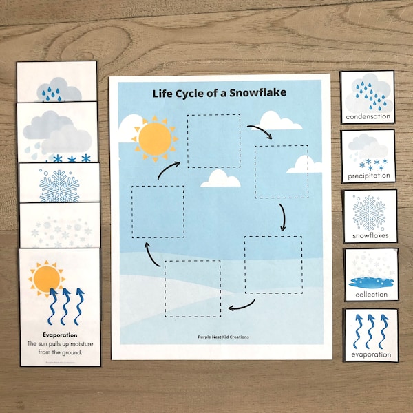 Life Cycle of a Snowflake Worksheet, Types of Precipitation, Winter, Precipitation, Educational Preschool Printable Activity, Homeschool