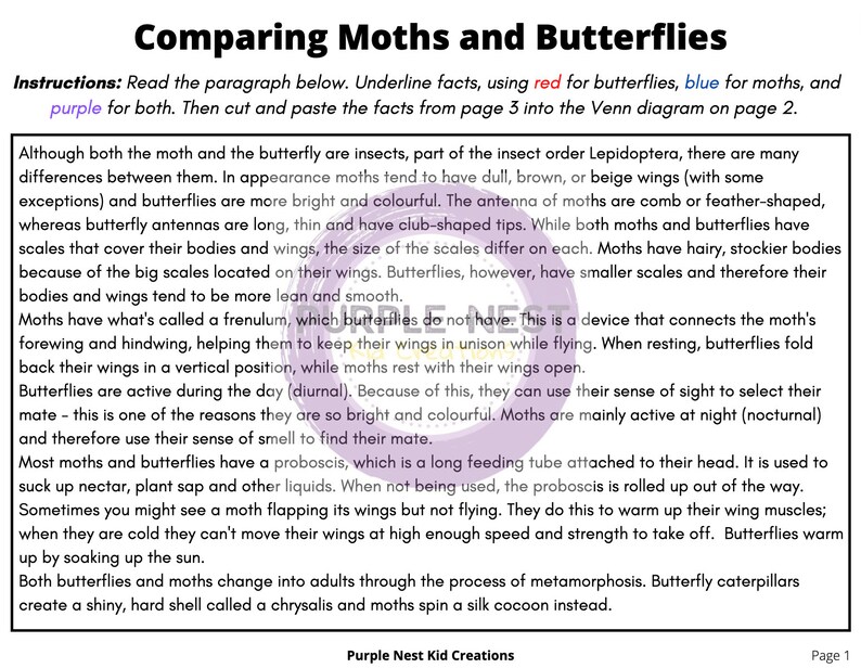 Butterflies and Moths Sorting Worksheet Sorting Game Venn Etsy